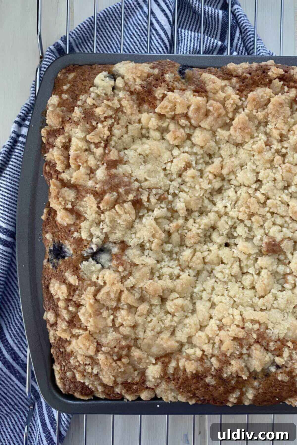 Bursting Blueberry Muffin Cake 13 A freshly baked blueberry cake without icing, showing its golden-brown crumb topping.