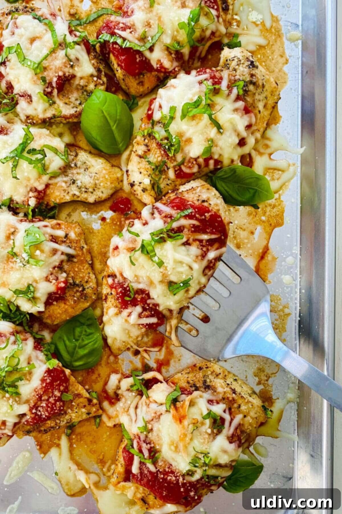 Keto and low carb chicken parmesan lifted on a spatula with fresh basil garnish.