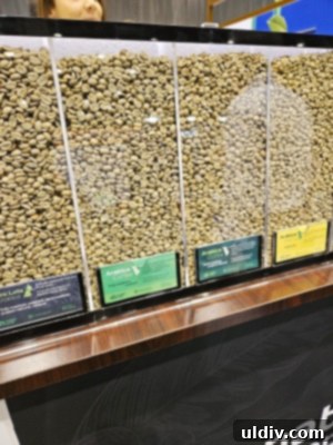 Exploring the 2024 Specialty Coffee Expo: My Takeaways 11 Sustainability Award winner's logo