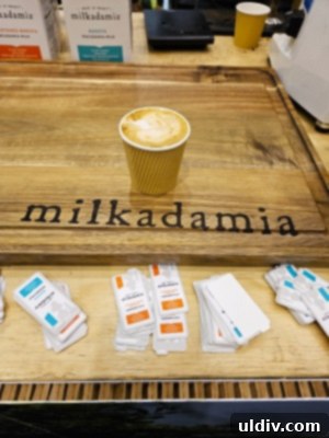 Exploring the 2024 Specialty Coffee Expo: My Takeaways 17 Milkadamia macadamia milk products