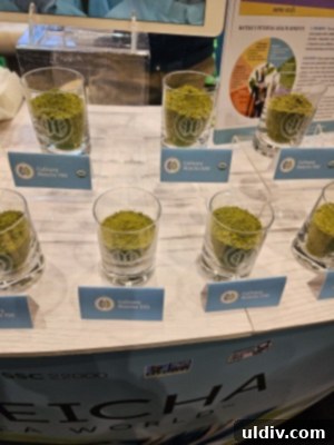 Exploring the 2024 Specialty Coffee Expo: My Takeaways 25 Various matcha tea products for foodservice