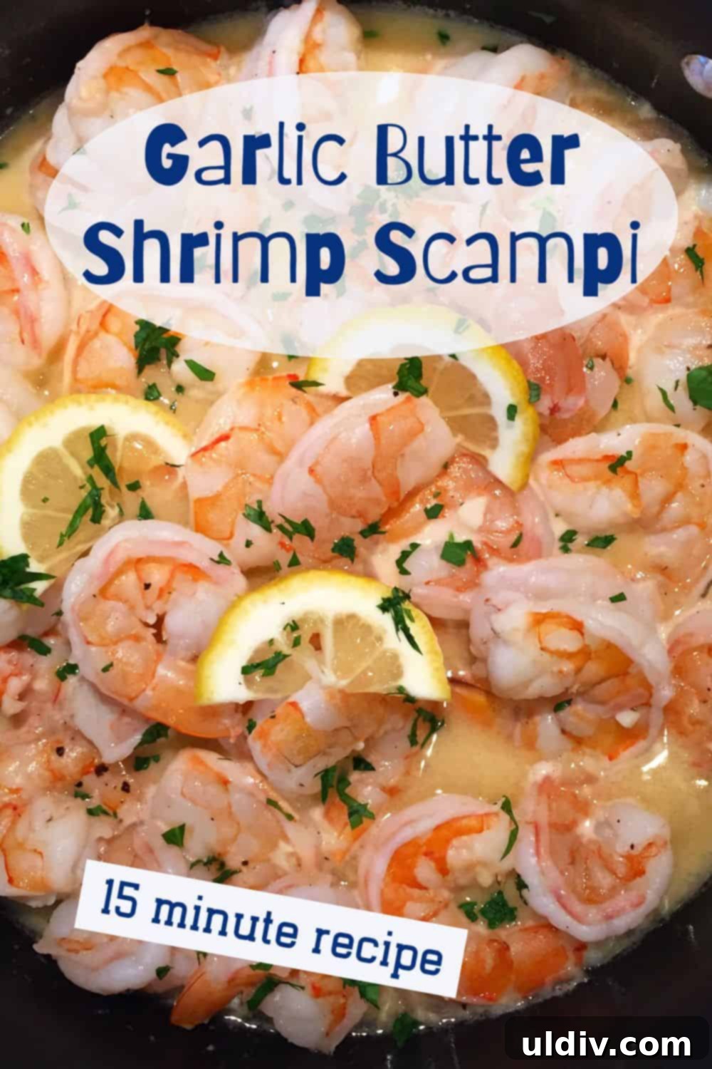 Zesty Lemon Garlic Shrimp Scampi 5 shrimp with a garlic butter sauce.