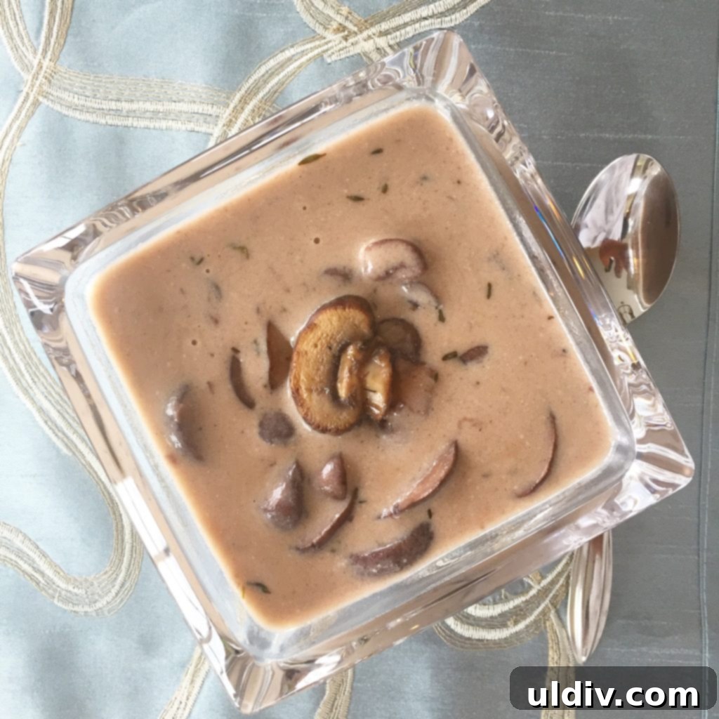 Velvety Gluten Free Mushroom Cream 4 A beautifully presented bowl of homemade gluten-free cream of mushroom soup, inviting and ready to be enjoyed, showcasing its rich and appealing texture.