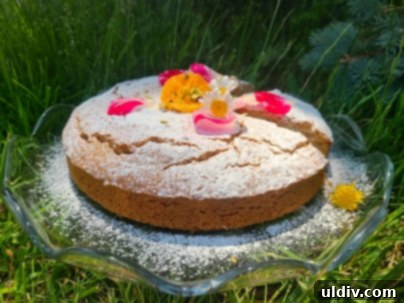 Summer Baking Bliss 4 A slice of spice cake topped with chopped pistachios, fresh berries, and a drizzle of golden honey