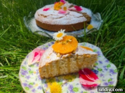 Summer Baking Bliss 6 A delightful dessert spread featuring slices of spice cake, fresh fruit, and a jar of dandelion honey, inviting a sweet moment