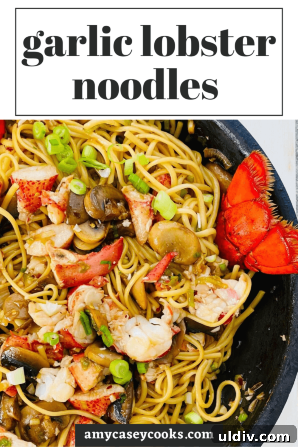 Decadent Garlic Lobster Noodles 15 A stunning overhead shot of Garlic Lobster Noodles in a large pan, garnished with fresh green onions, showcasing the rich colors and textures.