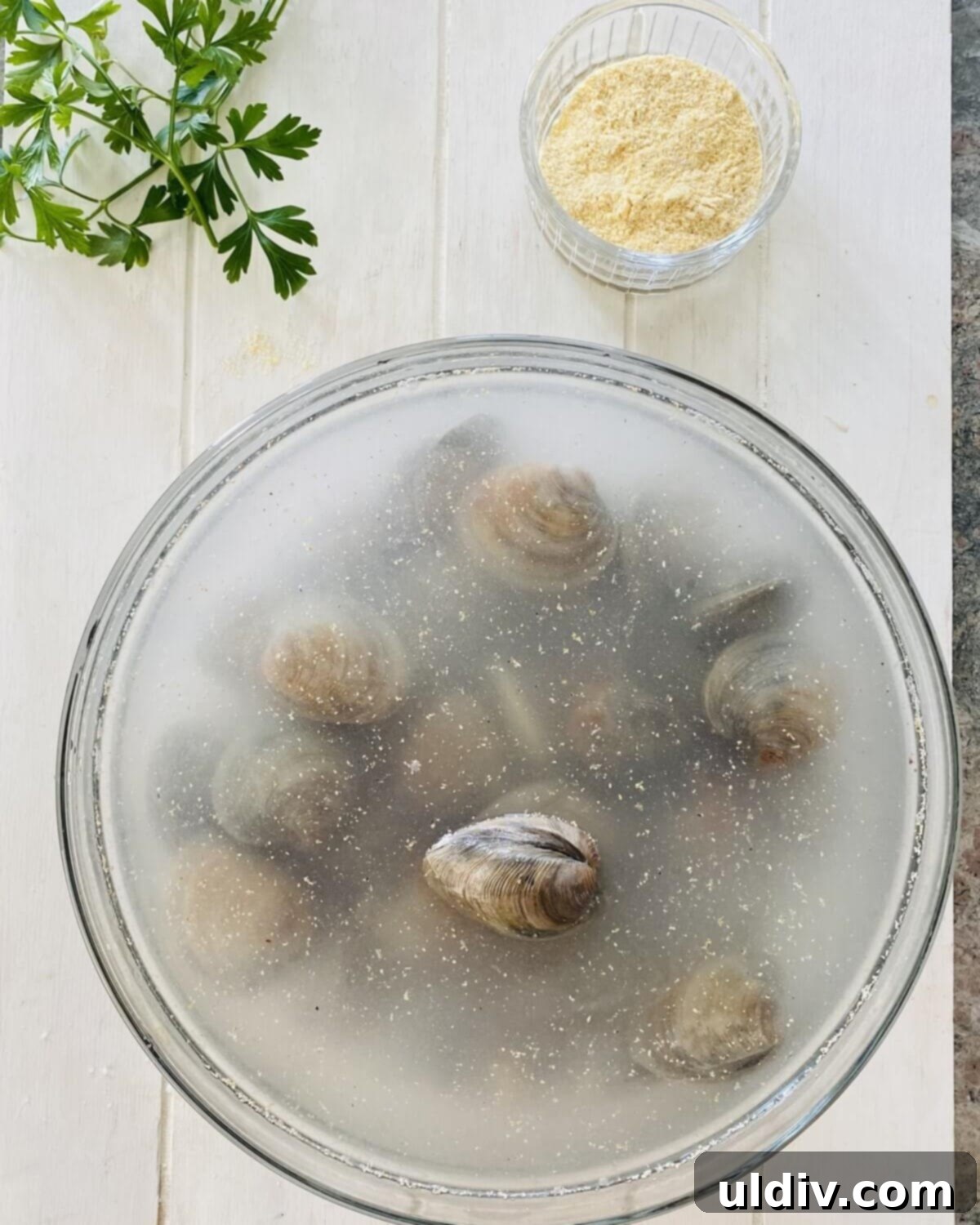 Shellfish soaking in a cornmeal and cold water bath, purging sand.