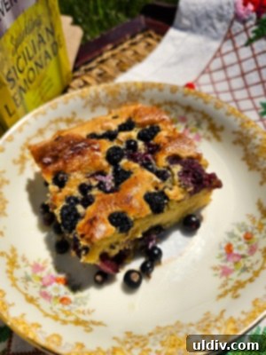 Blackcurrants Taste Good Feel Great 11 A slice of homemade fruit sponge cake, topped with blackcurrants, other berries, and a drizzle of lilac honey