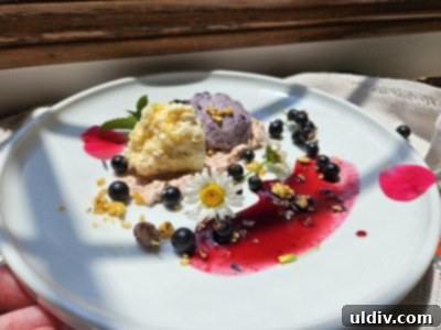 Blackcurrants Taste Good Feel Great 7 A beautiful summer dessert plate with ice cream, berries, mint, and edible flowers, garnished with blackcurrants