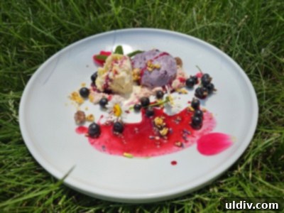 Blackcurrants Taste Good Feel Great 8 A close-up shot of the garnished ice cream, highlighting the blackcurrants and other toppings