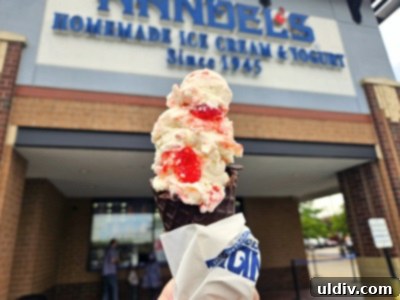 Handel's Ice Cream: Summer's Sweetest Stop 3 A generous scoop of Handel's Birthday Cake ice cream with colorful sprinkles, a true celebration in a cone.