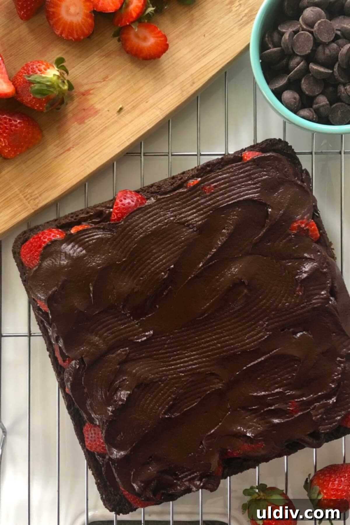 Fudgy Chocolate-Dipped Brownies with Fresh Strawberries 9 A close-up of a chocolate brownie fully topped with sliced fresh strawberries and completely covered with a smooth, glossy layer of chocolate ganache.