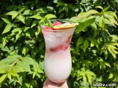 Virgin Piña Bliss 4 A beautifully presented Piña Colada mocktail in a tall glass, garnished with fresh raspberries and an orange slice.