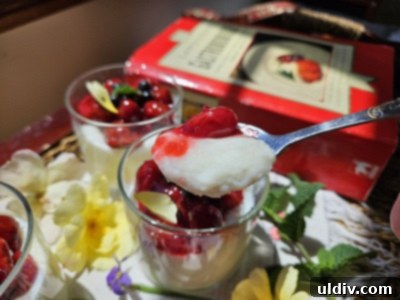 Mastering Sour Cherries From Pit to Preserve 8 A spoonful of semolina pudding with a rich cherry sauce.