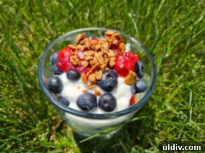 A close-up of a delectable blueberry and yogurt parfait, topped with granola and sour cherry sauce