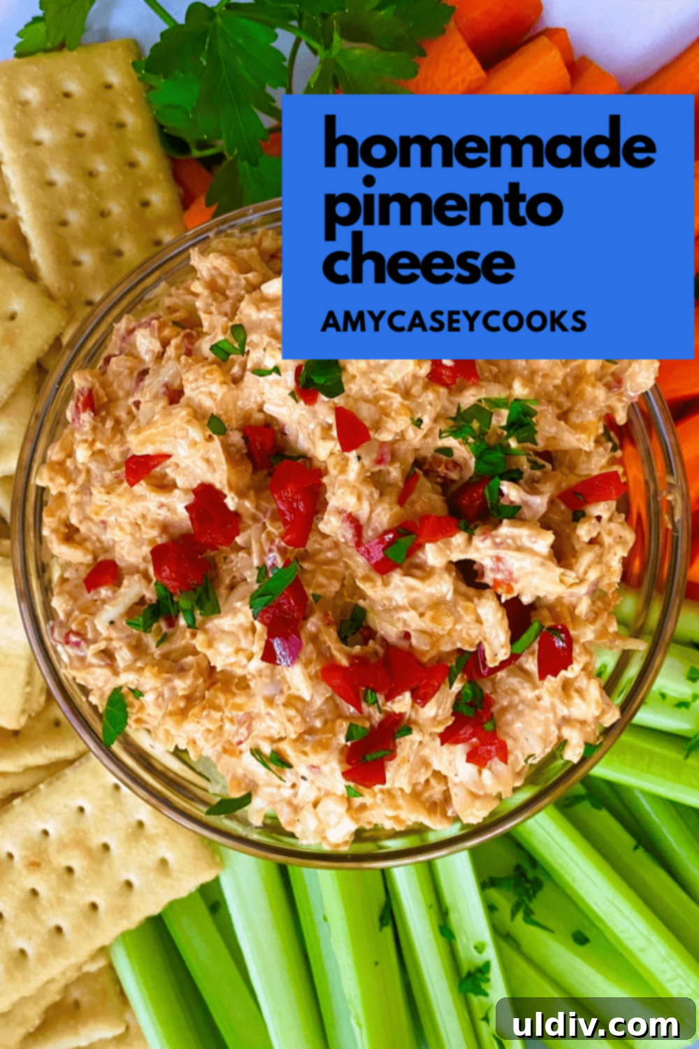 Southern Comfort Homemade Pimento Cheese 10 Bowl of pimento cheese surrounded by celery, carrots, and crackers, ready for a gathering
