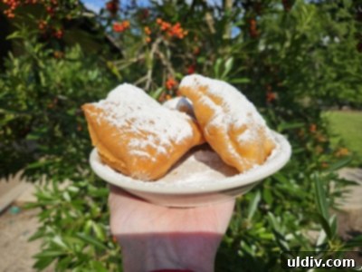 Big Easy Bites My Food Adventure 20 New Orleans Memories