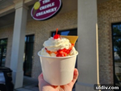 Big Easy Bites My Food Adventure 25 Sweet Memories New Orleans