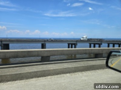 Big Easy Bites My Food Adventure 7 Manchac Swamp Bridge History