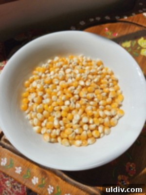 Unlock the Secret to Perfect Homemade Popcorn 3 Ancient corn cobs found in archaeological dig, representing the early history of popcorn.