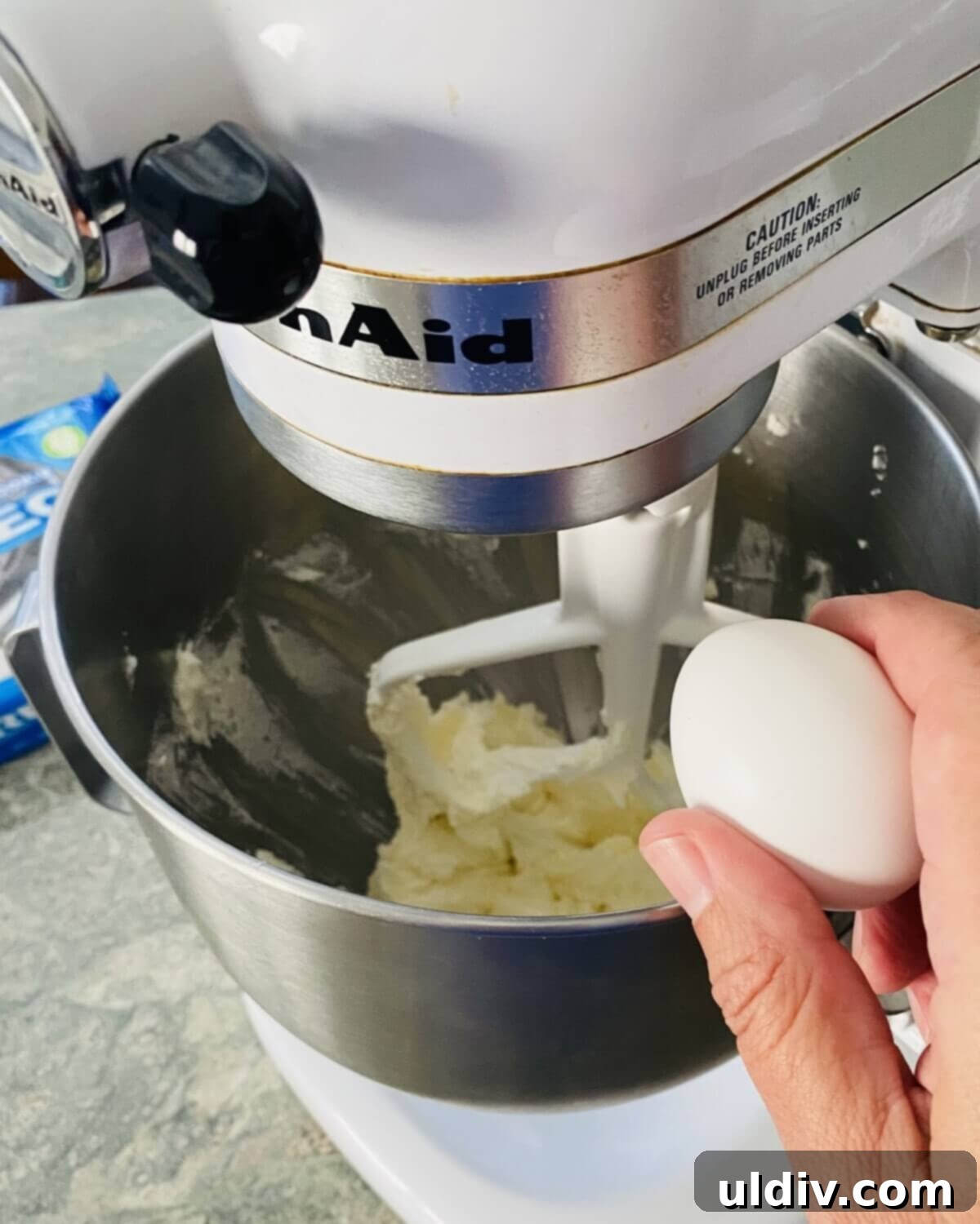 Perfectly Shaped Oreo Sugar Cookies 4 Adding an egg to a creamy mixture of butter, shortening, and sugar in a stand mixer bowl, for Oreo sugar cookie batter.