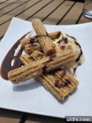Chicago's Tatas Tacos: An Unmissable Flavor Journey 9 A plate of warm churros with chocolate sauce and vanilla ice cream.