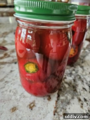 Easy Pickled Hot Peppers 6 Glass jars and fresh hot peppers, ingredients for pickling