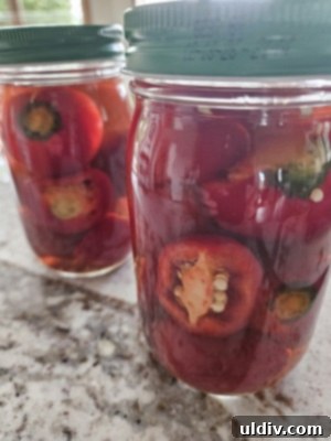Easy Pickled Hot Peppers 7 Sliced and whole hot peppers being placed into a clean jar