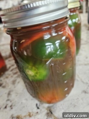 Easy Pickled Hot Peppers 9 Sealed jars of pickled hot peppers on a countertop