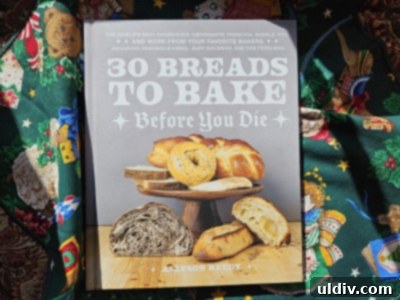 Sleigh Your Shopping: My 2024 Holiday Gift Guide 11 Cover of '30 Breads to Bake Before You Die' cookbook