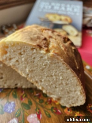 Sleigh Your Shopping: My 2024 Holiday Gift Guide 13 Close-up of beer bread slice with soft texture