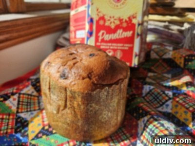 Sleigh Your Shopping: My 2024 Holiday Gift Guide 15 A slice of Schär gluten-free panettone showing its rich texture