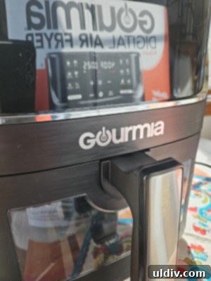 Sleigh Your Shopping: My 2024 Holiday Gift Guide 3 Gourmia Air Fryer with a clear view window