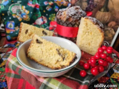 Sleigh Your Shopping: My 2024 Holiday Gift Guide 10 Homemade panettone with a golden crust