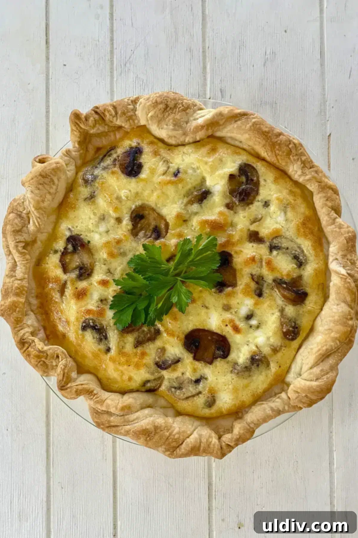 Golden Flaky Mushroom Quiche 10 a whole baked mushroom quiche.