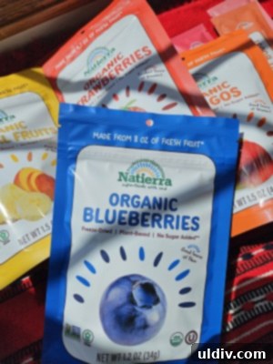 Healthy Bites and Beyond 12 Natierra freeze-dried mango slices