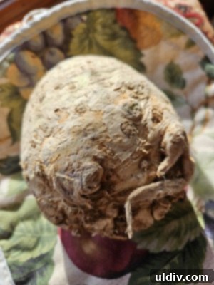 Essential Insights on Celery Root and Celeriac 4 Two cleaned celeriac bulbs, ready for preparation.
