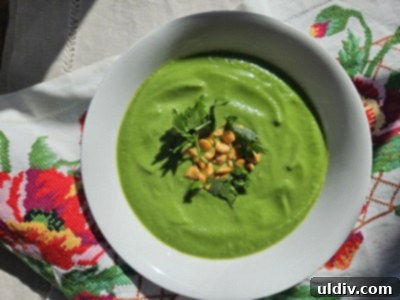 Essential Insights on Celery Root and Celeriac 5 A bowl of creamy vegan celery root, parsnip, and turnip green soup garnished with fresh herbs.