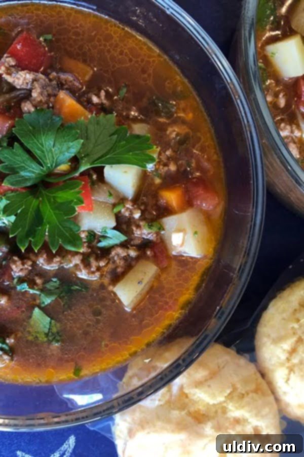 Hearty Hamburger and Potato Soup 2 A steaming bowl of hearty beef and vegetable soup, garnished with fresh parsley.