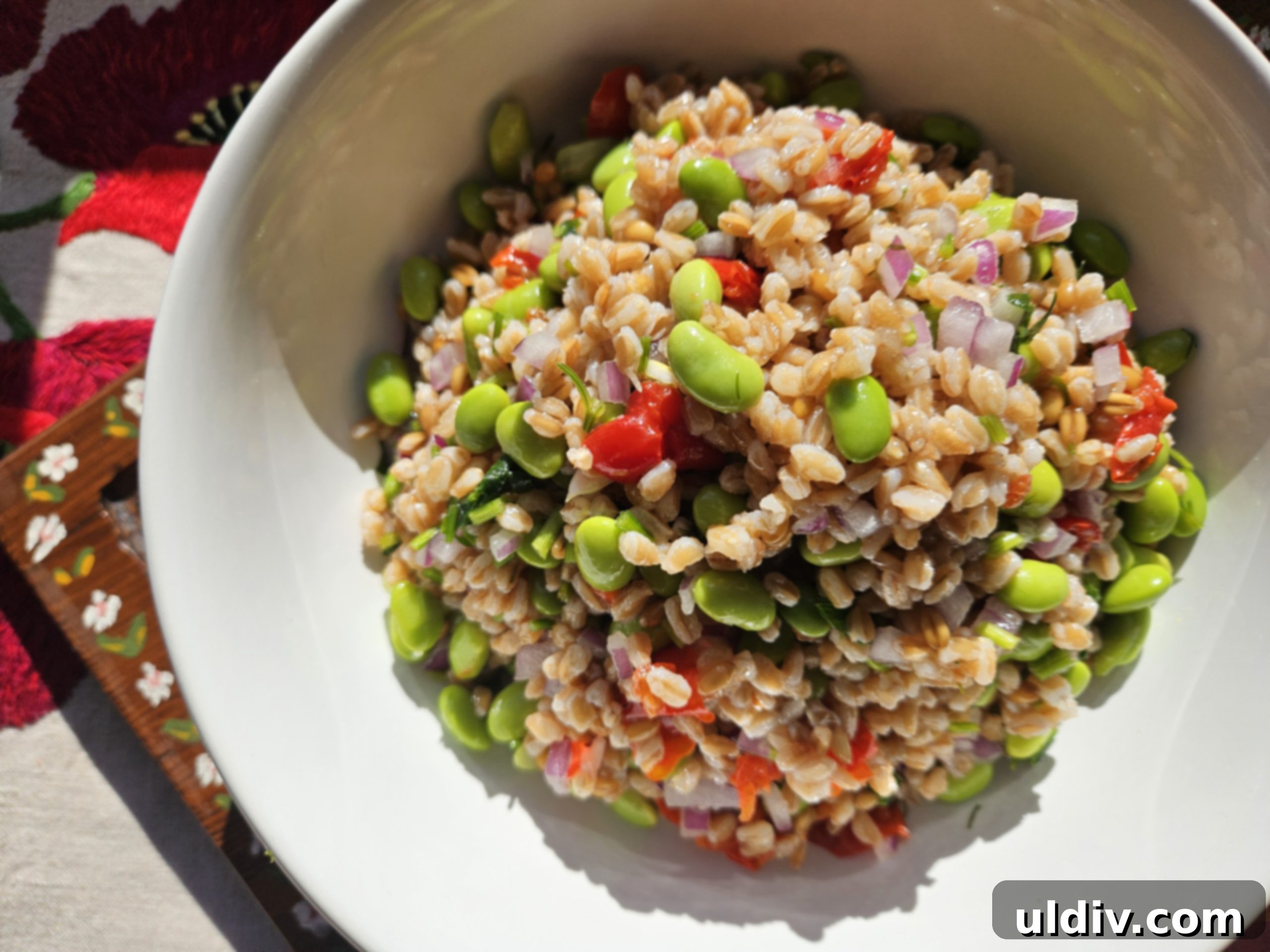 No-Fuss Super Bowl Snacks: 2025 Edition 2 Super Bowl Party Snacks and Dips