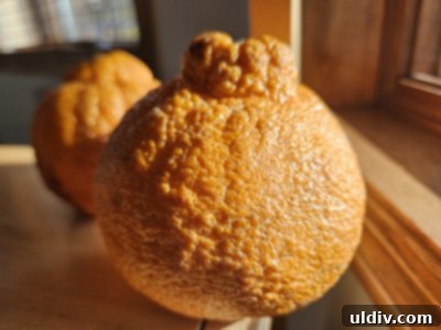 Sumo Citrus Sunshine Posset 4 Three sumo citrus fruits, one partially peeled, resting on a wooden surface, highlighting their bright orange color and unique shape.