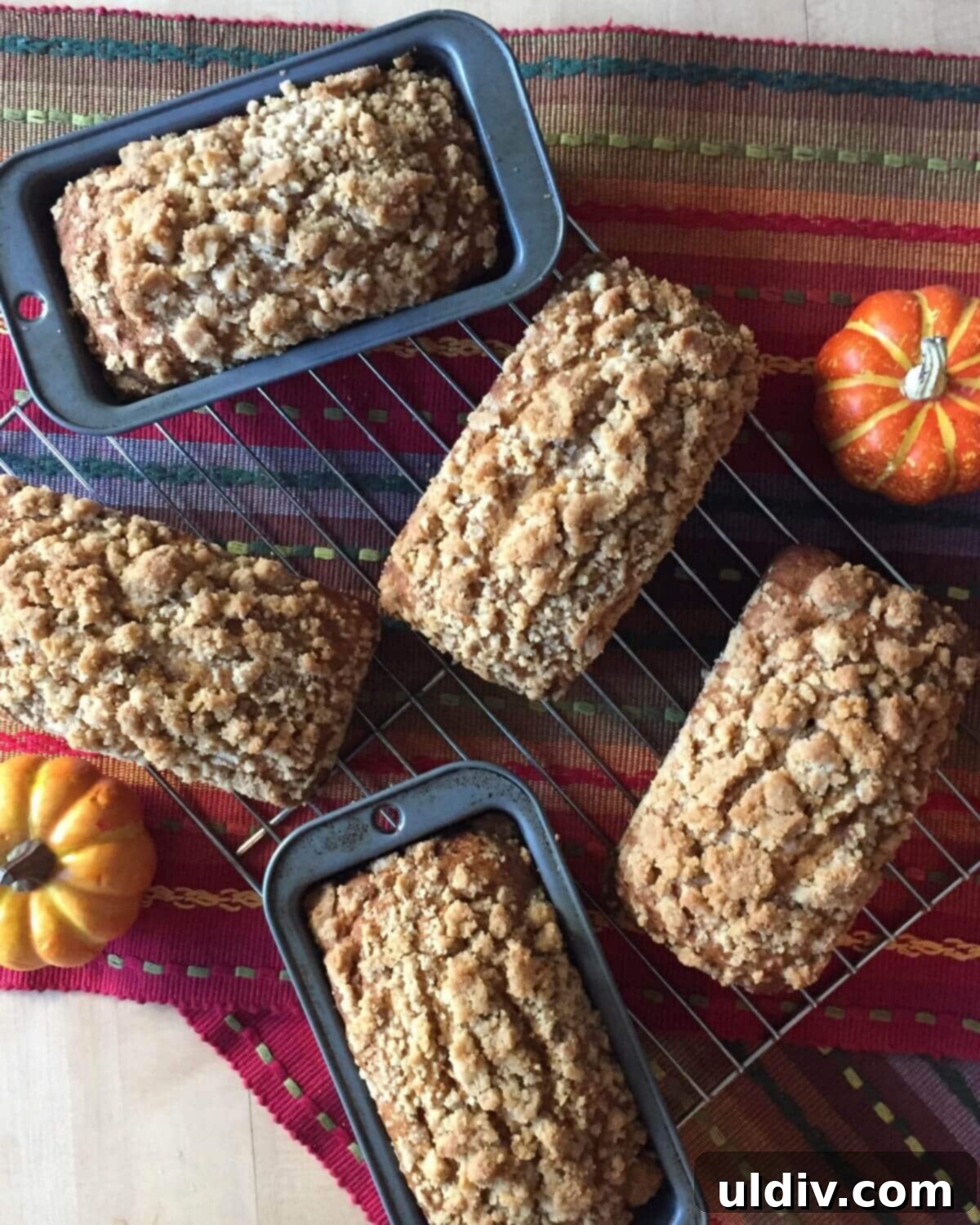 Cozy Autumn Mini Pumpkin Loaves 7 Warm, freshly baked mini quick breads cooling on a wire rack after being removed from their pans.