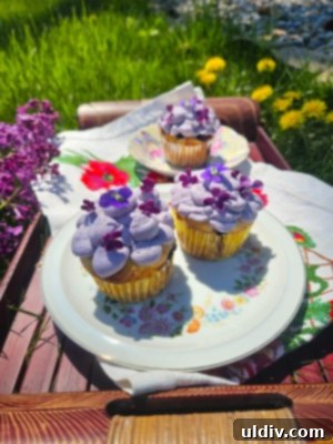 Crafting Your Own Confectioners Sugar 2 Freshly ground homemade confectioners' sugar ready for use