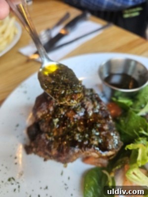 Bodega Sur: Mother's Day Celebration 14 Bodega Sur Chicago - Chimichurri on plate