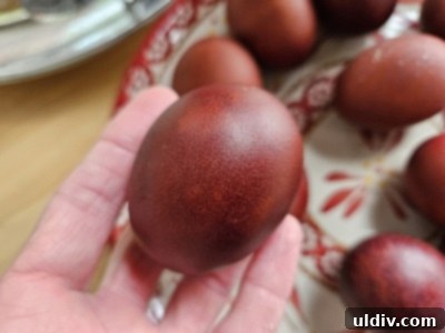 Natural Easter Egg Dyeing 3 img 20037 2