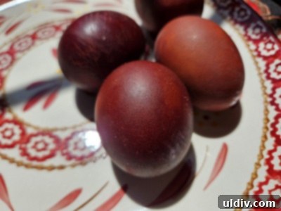 Natural Easter Egg Dyeing 6 img 20037 5