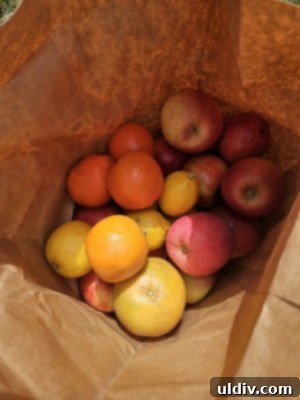 Flashfood's Vision for Earth Day 2025 5 A vibrant selection of fresh produce from a Flashfood $5 produce bag, highlighting variety and quality