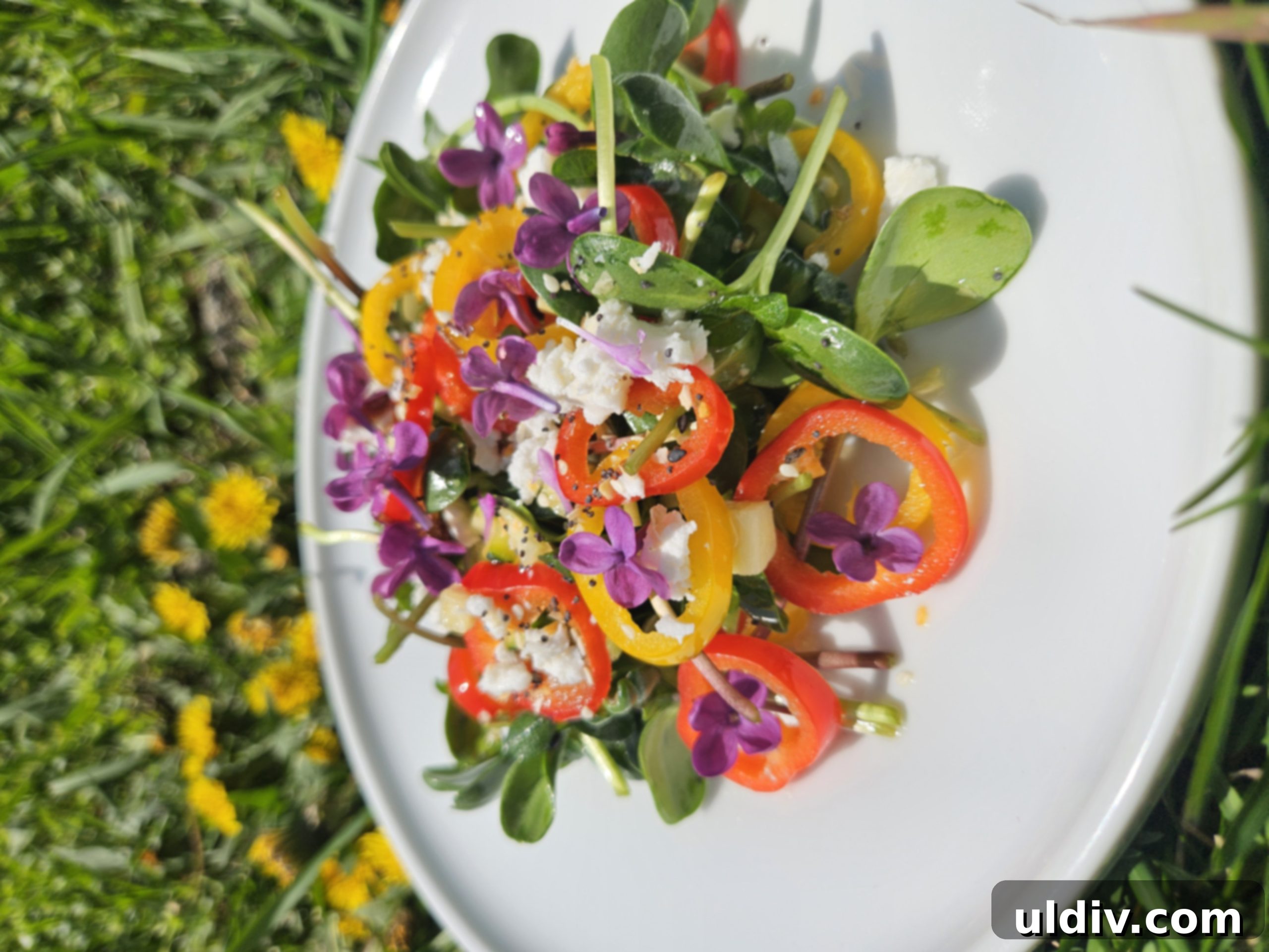 Next-Gen Spring Greens 2 Fresh spring salad with vibrant lilac blossoms and crisp microgreens, a celebration of spring's bounty