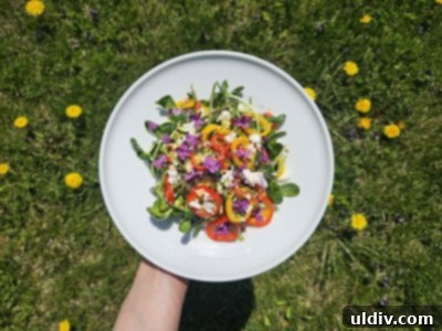 Next-Gen Spring Greens 3 Close-up of a spring salad featuring vibrant lilac petals, sunflower microgreens, and goat cheese