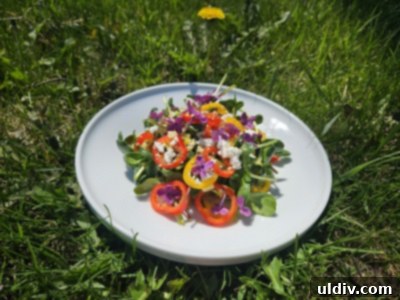 Next-Gen Spring Greens 6 Another beautiful perspective of the colorful spring salad, highlighting its fresh ingredients and edible flowers